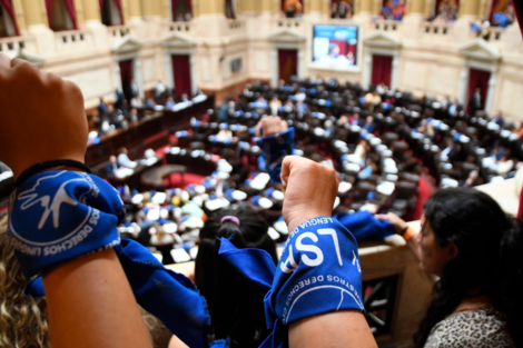 El Senado aprobó por unanimidad que se reconozca a la Lengua de Señas Argentina como idioma viso gestual en todo el país