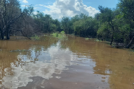 Dos comunidades indígenas quedaron aisladas por la crecida del Bermejo 