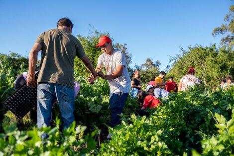 Mil ferias en todo el país por el Día de la Lucha Campesina