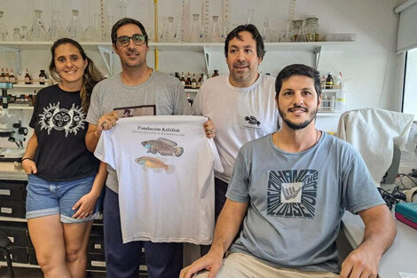 Los investigadores del CEPAVE posan con una remera de la Fundación Killifish.