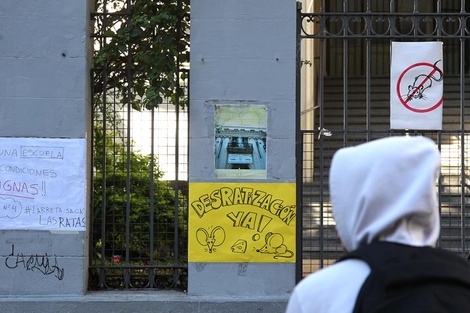 Con ratas no se puede estudiar: otro colegio porteño suspendió las clases por una invasión de roedores