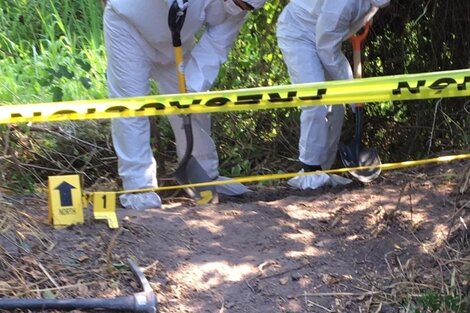 Encontraron 26 cuerpos en fosas clandestinas en el oeste México