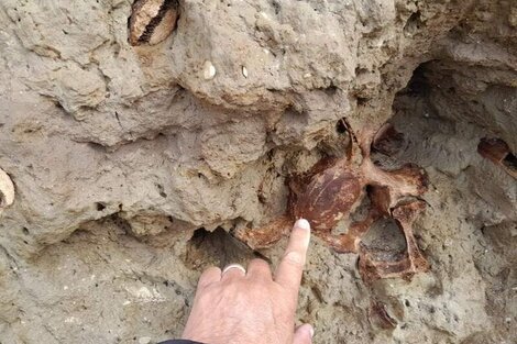 Los trabajos de rescate se reanudarán en las próximas horas, tras ser suspendidos por las condiciones climáticas y de alta marea que afectan a la zona.