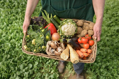 "Se debe superar el modelo dominante de producción de alimentos"