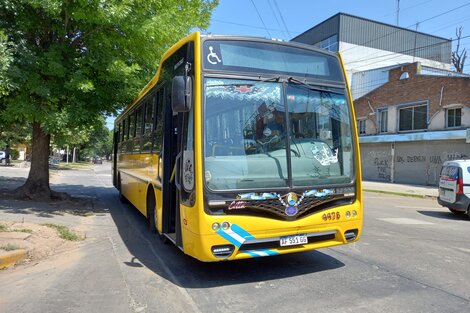 Paro de colectivos: 3 líneas del Conurbano en huelga tras agresión a un chofer