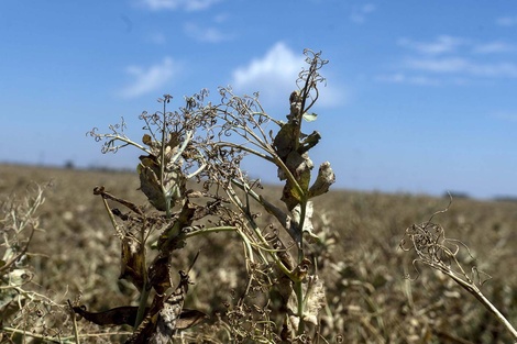 La crisis social y económica se ve agravada por una ecológica que es cada vez más profunda (Fuente: Télam)