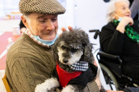 Los legisladores poreños habilitarán para que en los geriátricos, los adultos mayores puedan tener sus mascotas y que acompañen en terapias asistidas.