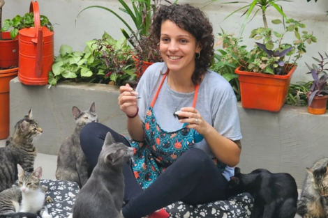 Cómo es el Café con Gatos que funciona en el Abasto