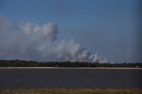 La Justicia no dio respuestas en sus investigaciones sobre los incendios.