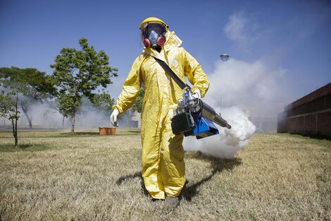 La cartera sanitaria recomendó la realización de una consulta médica de manera temprana, no automedicarse y tomar medidas para evitar la picadura de mosquitos. (Foto: Télam)