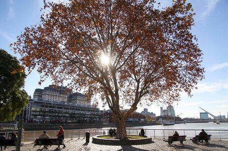 Clima en Buenos Aires: el pronóstico del tiempo para este martes 16 de mayo 