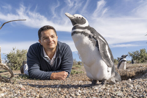 Un científico argentino ganó el Indianapolis Prize por su trabajo de protección de los pingüinos