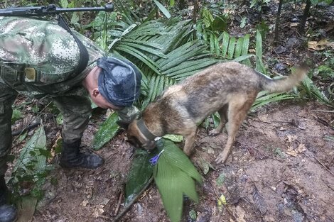 Rescatan a cuatro niños que estuvieron 17 días perdidos en la Amazonia colombiana