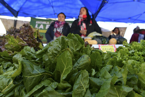 Alimentos: Hay mejores alternativas que la importación