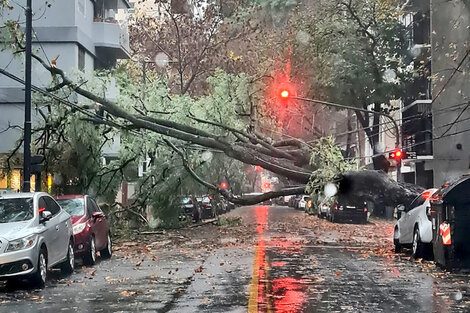 El fuerte temporal causó estragos en la Ciudad y la Provincia de Buenos Aires por la enorme cantidad de calles inundadas y árboles caídos. (Foto: NA)