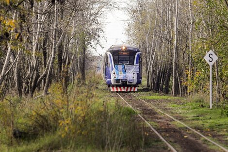 Hay tren entre Tomás Jofré y Mercedes