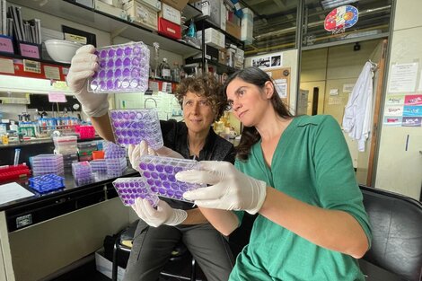 Andrea Gamarnik y Mora González López Ledesma, del Instituto Leloir. (Fuente: Instituto Leloir)