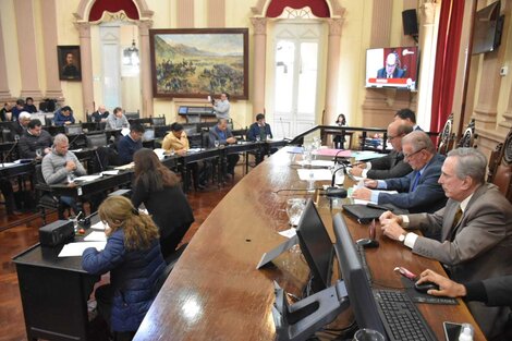 Qué dijeron los senadores que votaron por el rechazo de la ley antiprotestas  