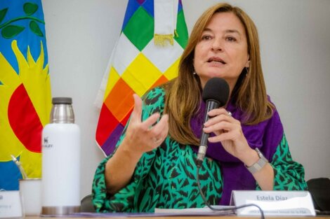 La ministra las Mujeres, Políticas de Género y Diversidad Sexual, Estela Diaz.