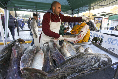 Retroceso de la pesca