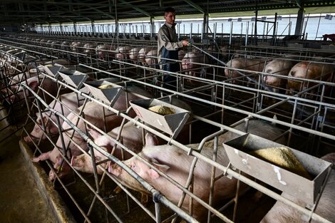 La producción más que se duplicó en diez años. (Fuente: AFP)