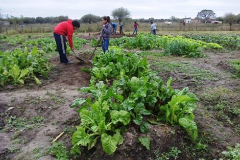 El trabajo infantil, flagelo que afecta a Argentina y el mundo