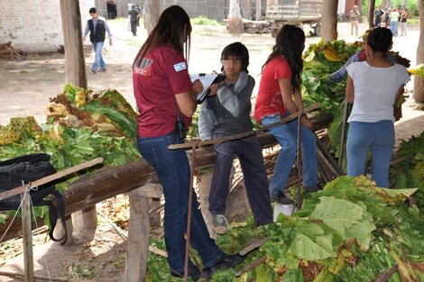 En Argentina 1,3 millones de niños y adolescentes trabajan