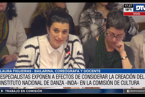 La Comisión de Cultura inició con expositores el debate sobre una Ley Nacional de Danza