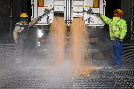 La molienda de oleaginosas cayó 25% en abril. (Fuente: AFP)