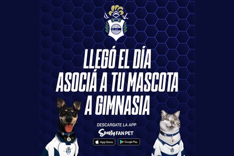 Gimnasia y Esgrima La Plata, un club donde las mascotas cobran protagonismo