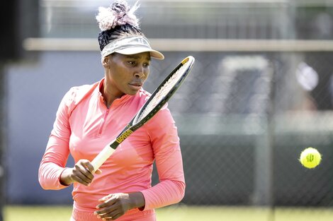 Venus Williams volverá a Wimbledon a los 43 años