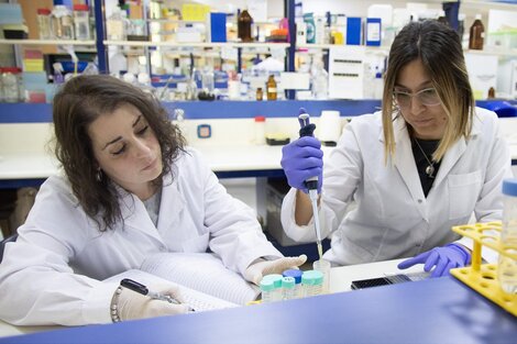 Científicas hallan una planta capaz de tratar distintos tipos de cáncer