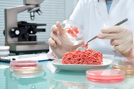 ¿Se puede producir carne en un laboratorio?