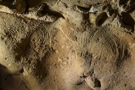 Una cueva en Francia alberga los grabados más antiguos hechos por neandertales 