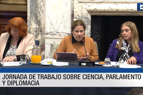 Se llevó a cabo la jornada "Ciencia, Parlamento y Diplomacia: el conocimiento global al servicio de las leyes"