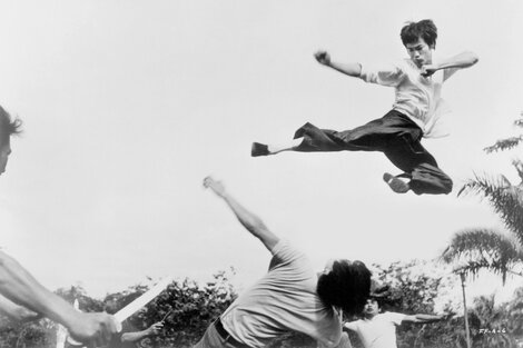 Lee desarrolló un arte marcial que se diferenciaba de la rigidez tradicional del karate.