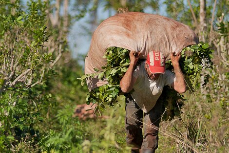 En el campo las incubadoras generan más productores