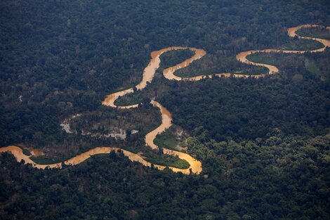 Desmantelaron diez campamentos de minería ilegal en la Amazonia brasileña