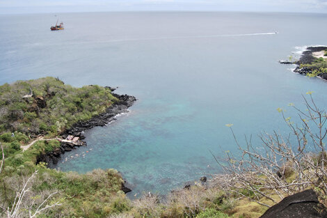 En busca de "carbono cero" en las Islas Galápagos