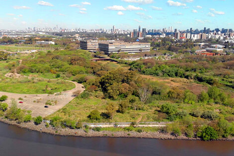 Reserva Ecológica de Costanera Norte.