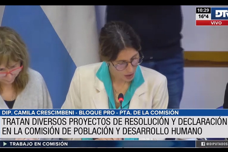 La Comisión de Población y Desarrollo Humano aprobó una batería de proyectos