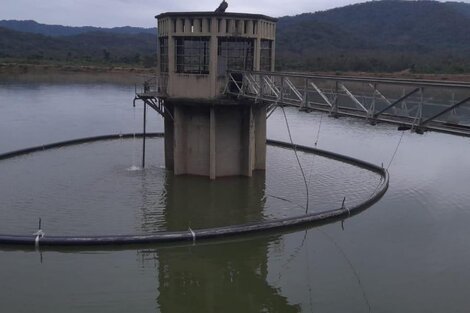 Confirmaron la presencia de cianobacterias en el agua de Tartagal