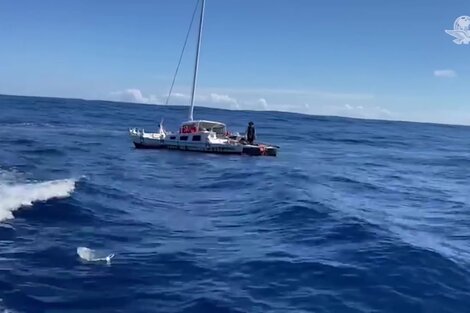 Un náufrago y su perra pasaron tres meses perdidos en altamar y fueron rescatados por un buque 