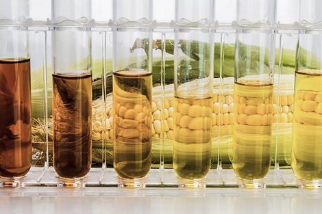 Sube 4,5% el biodiesel