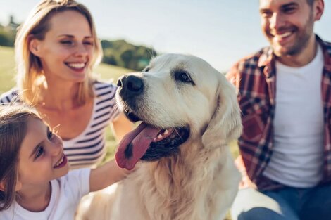 Tener un perro te alarga la vida: la ciencia lo confirma