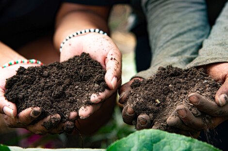 Detrás de la cebolla de tu salsa, hay mujeres trabajadoras de la tierra