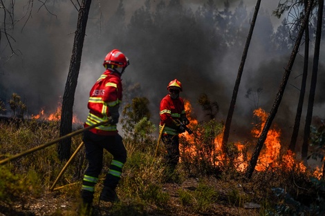 Los bomberos en su lucha a pleno en los bosques lusitanos. (Fuente: AFP)