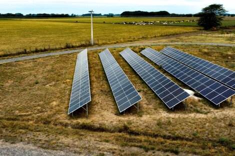 Por qué la eficiencia energética es una oportunidad de negocio para el agro 