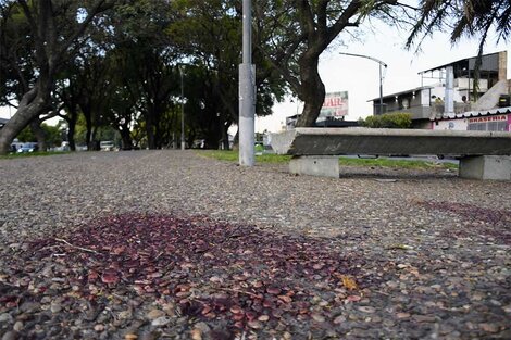 El paseo de Oroño a la altura de Lamadrid donde mataron a un motociclista.