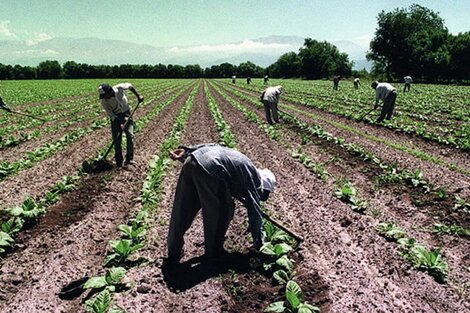 La mejora se aplicará sobre las remuneraciones mínimas del personal permanente de prestación continua 